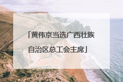 黄伟京当选广西壮族自治区总工会主席