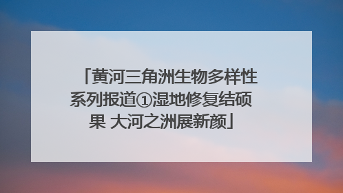 黄河三角洲生物多样性系列报道①湿地修复结硕果 大河之洲展新颜