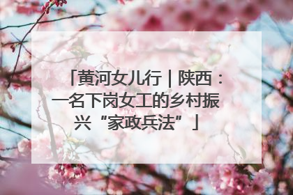 黄河女儿行｜陕西：一名下岗女工的乡村振兴“家政兵法”
