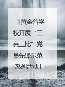 黄金谷学校开展“三亮三比”党员先锋示范系列活动
