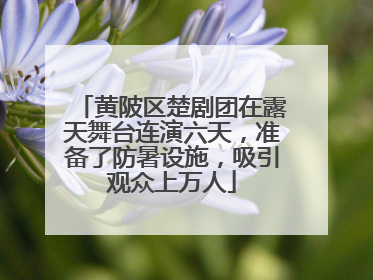 黄陂区楚剧团在露天舞台连演六天，准备了防暑设施，吸引观众上万人