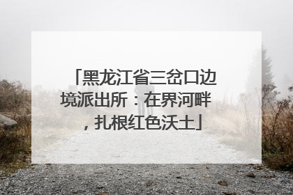 黑龙江省三岔口边境派出所：在界河畔，扎根红色沃土