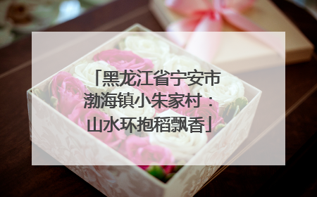 黑龙江省宁安市渤海镇小朱家村：山水环抱稻飘香
