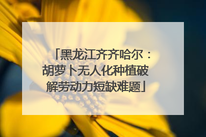 黑龙江齐齐哈尔：胡萝卜无人化种植破解劳动力短缺难题