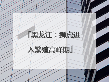 黑龙江：狮虎进入繁殖高峰期