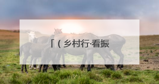 （乡村行·看振兴）广西乡村“绿色工厂” “蔬”写致富新答卷
