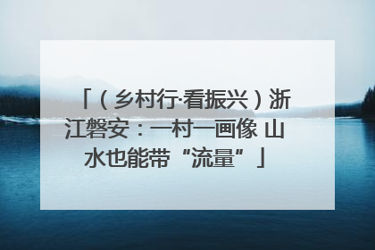 （乡村行·看振兴）浙江磐安：一村一画像 山水也能带“流量”