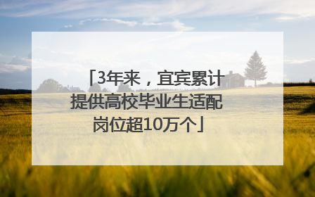 3年来，宜宾累计提供高校毕业生适配岗位超10万个