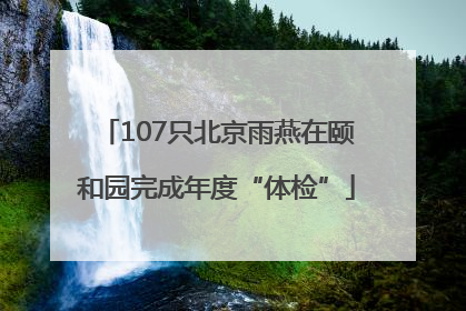 107只北京雨燕在颐和园完成年度“体检”