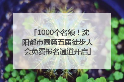 1000个名额！沈阳都市圈第五届徒步大会免费报名通道开启