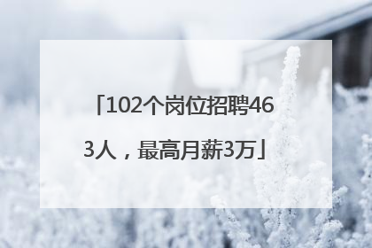 102个岗位招聘463人，最高月薪3万