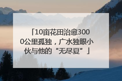 10亩花田治愈3000公里孤独，广水独眼小伙与他的“无尽夏”