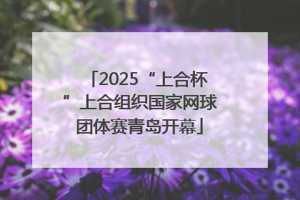 2025“上合杯”上合组织国家网球团体赛青岛开幕