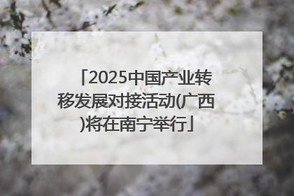 2025中国产业转移发展对接活动(广西)将在南宁举行