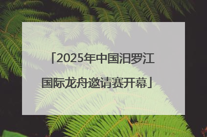 2025年中国汨罗江国际龙舟邀请赛开幕