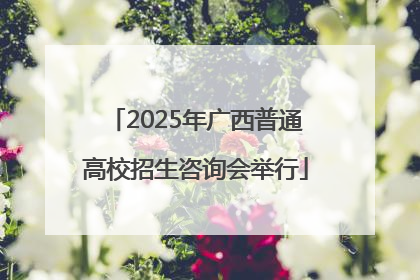 2025年广西普通高校招生咨询会举行