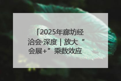 2025年廊坊经洽会·深度｜放大“会展+”乘数效应 打造消费新场景