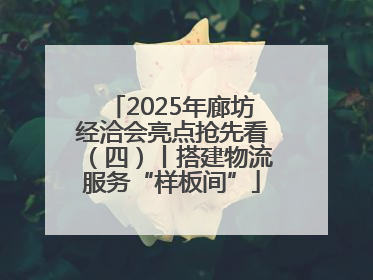 2025年廊坊经洽会亮点抢先看（四）丨搭建物流服务“样板间”
