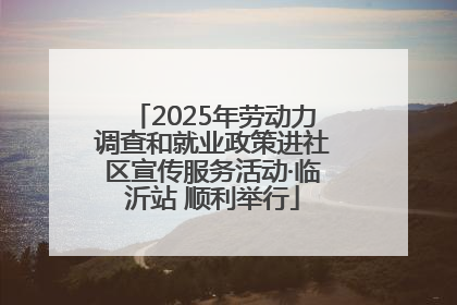 2025年劳动力调查和就业政策进社区宣传服务活动·临沂站 顺利举行