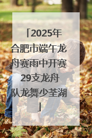 2025年合肥市端午龙舟赛雨中开赛 29支龙舟队龙舞少荃湖