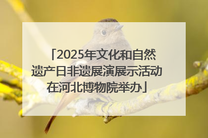 2025年文化和自然遗产日非遗展演展示活动在河北博物院举办
