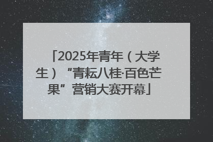 2025年青年（大学生）“青耘八桂·百色芒果”营销大赛开幕