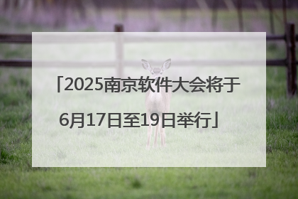 2025南京软件大会将于6月17日至19日举行