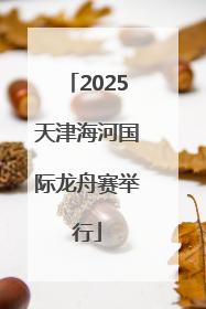 2025天津海河国际龙舟赛举行