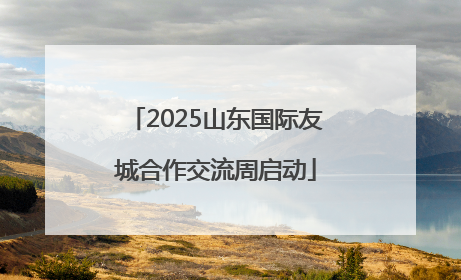 2025山东国际友城合作交流周启动