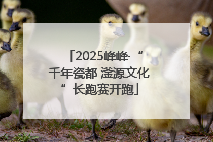 2025峰峰·“千年瓷都 滏源文化”长跑赛开跑