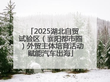 2025湖北自贸试验区（襄阳都市圈）外贸主体培育活动赋能汽车出海