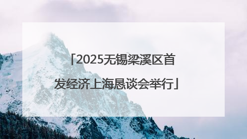 2025无锡梁溪区首发经济上海恳谈会举行