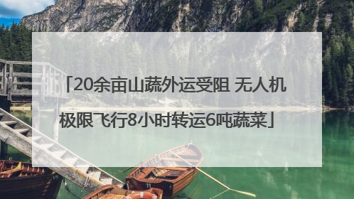 20余亩山蔬外运受阻 无人机极限飞行8小时转运6吨蔬菜