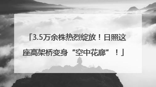 3.5万余株热烈绽放！日照这座高架桥变身“空中花廊”！