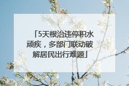5天根治违停积水顽疾，多部门联动破解居民出行难题