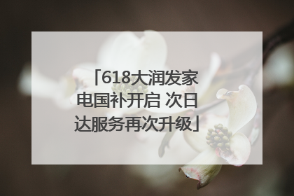 618大润发家电国补开启 次日达服务再次升级
