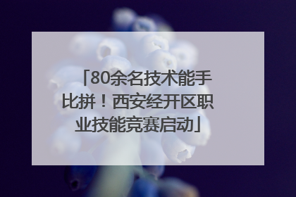 80余名技术能手比拼！西安经开区职业技能竞赛启动