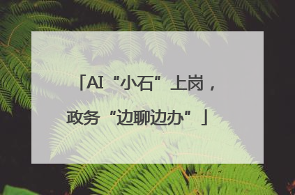 AI“小石”上岗，政务“边聊边办”