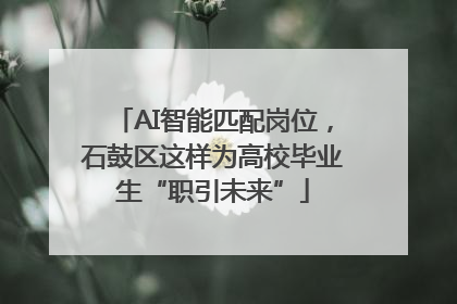 AI智能匹配岗位，石鼓区这样为高校毕业生“职引未来”