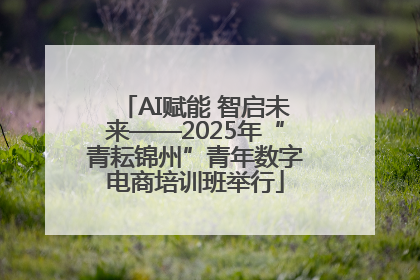 AI赋能 智启未来——2025年“青耘锦州”青年数字电商培训班举行